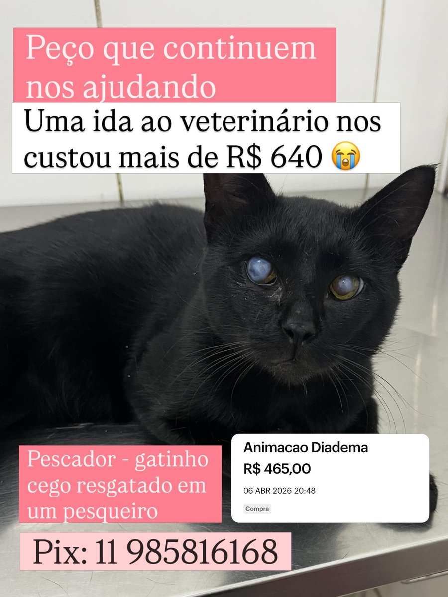 Abrigo Meimei tweet media