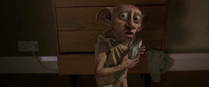 acervo dobby tweet media