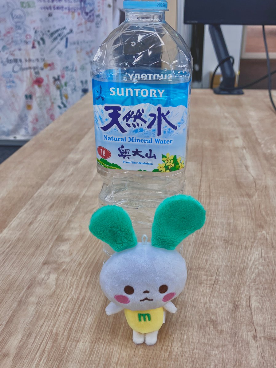 マイぴょん【マイネオ公式キャラクター】 tweet media