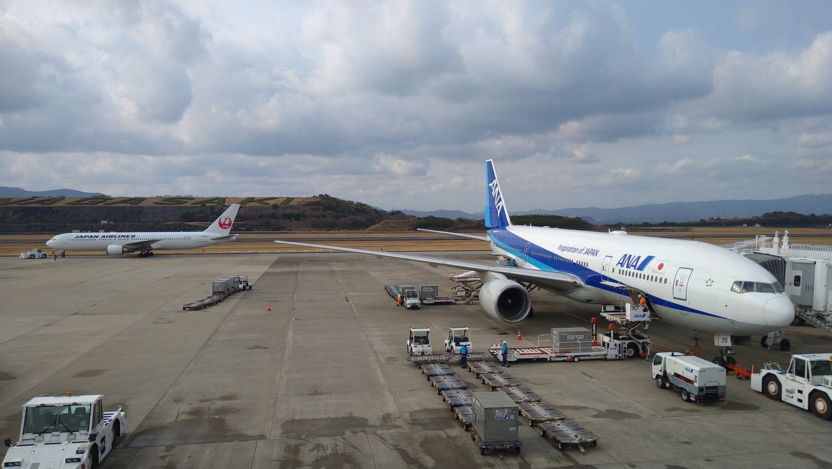 かもめえくすぷれす🐾 tweet media