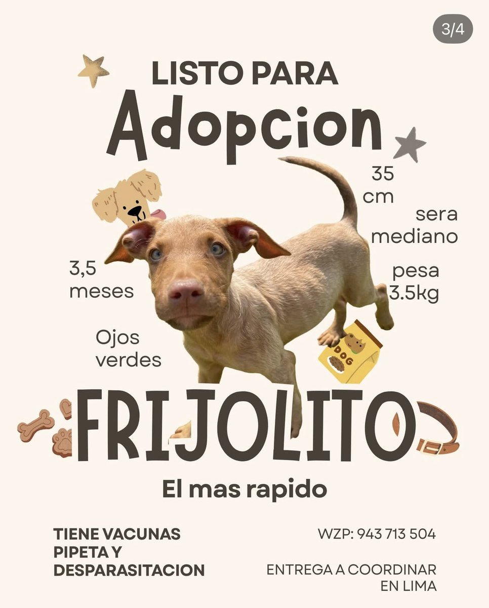 Mía Nauca tweet media