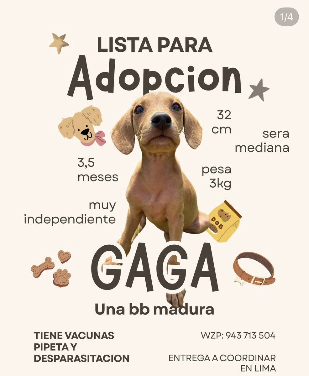 Mía Nauca tweet media