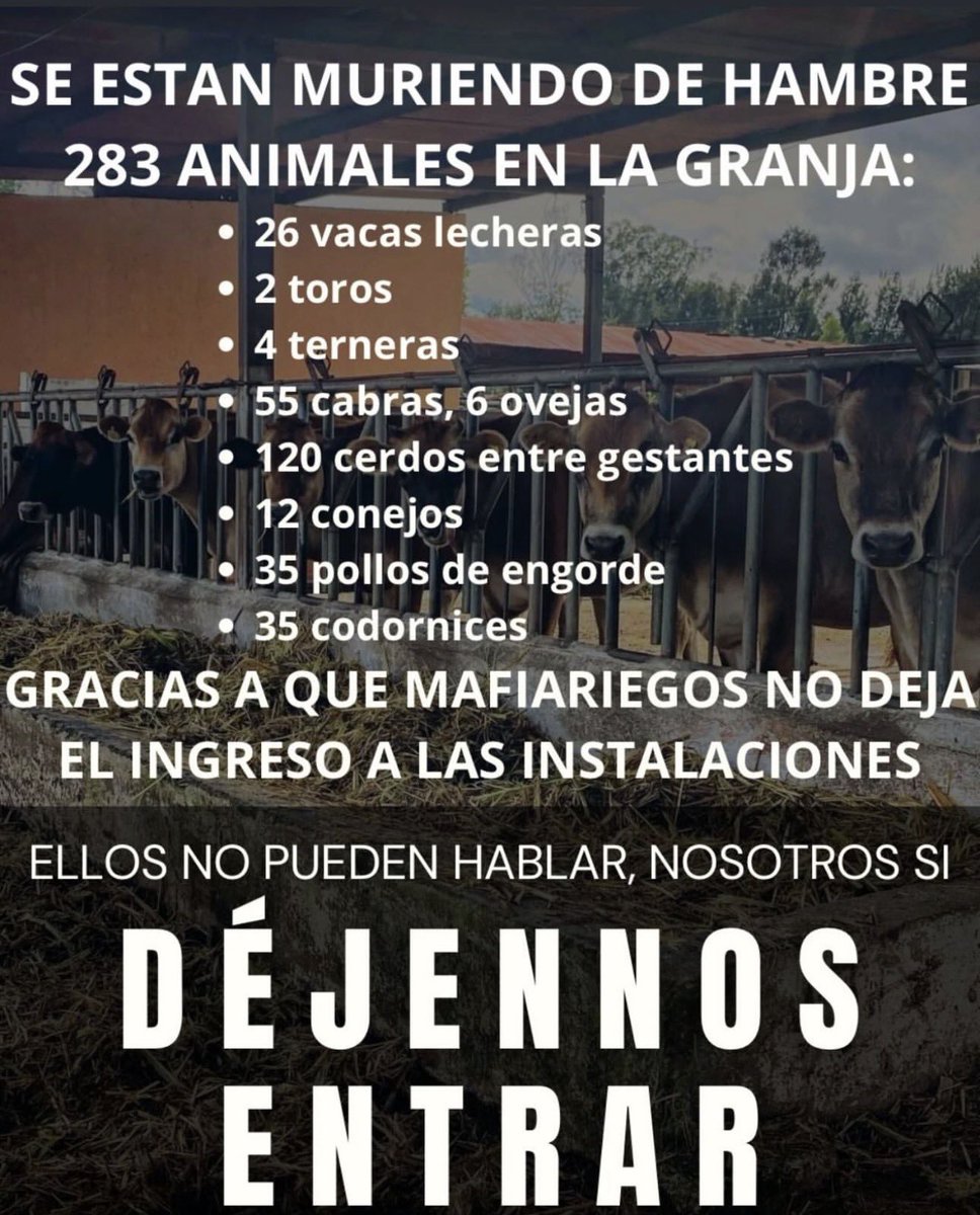 Illescas. 🌱 tweet media