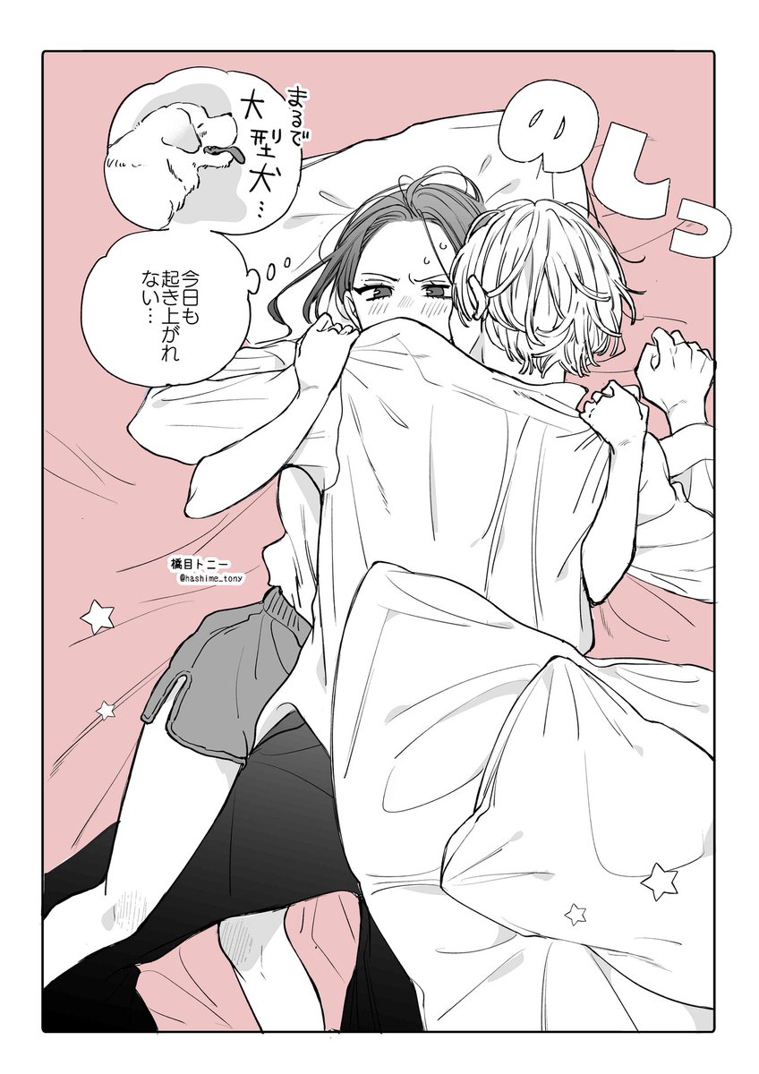 橋目トニー tweet media