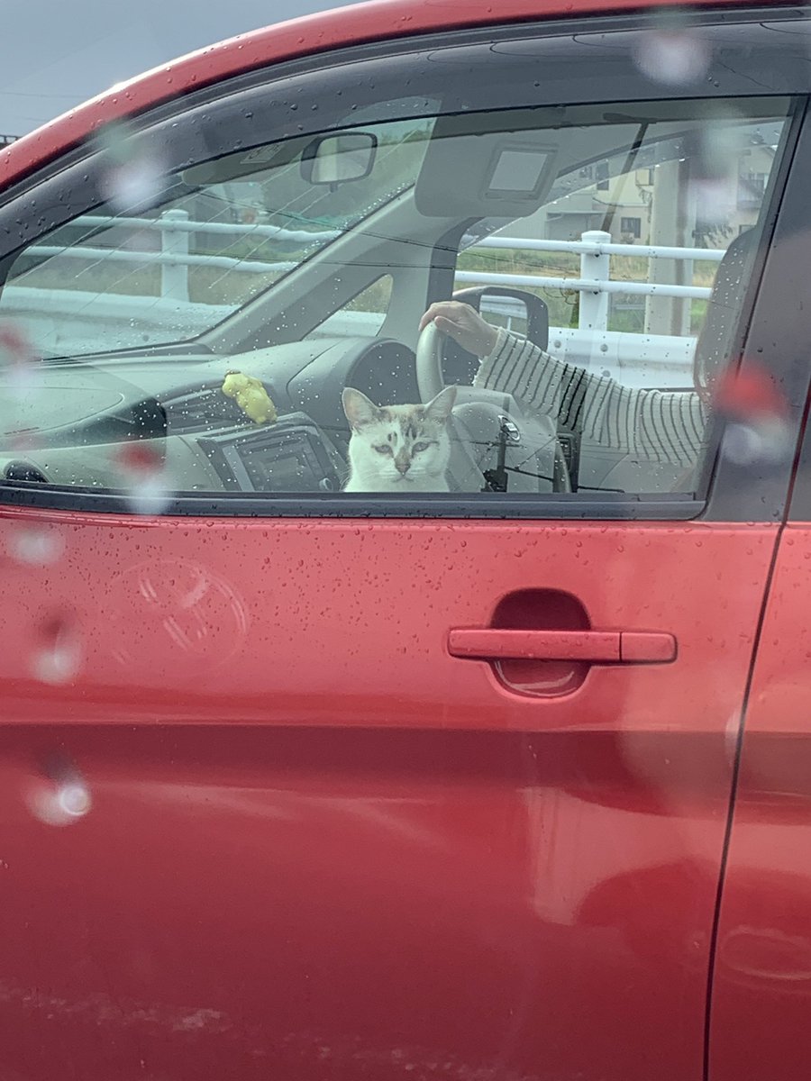 黒服ライダー tweet media