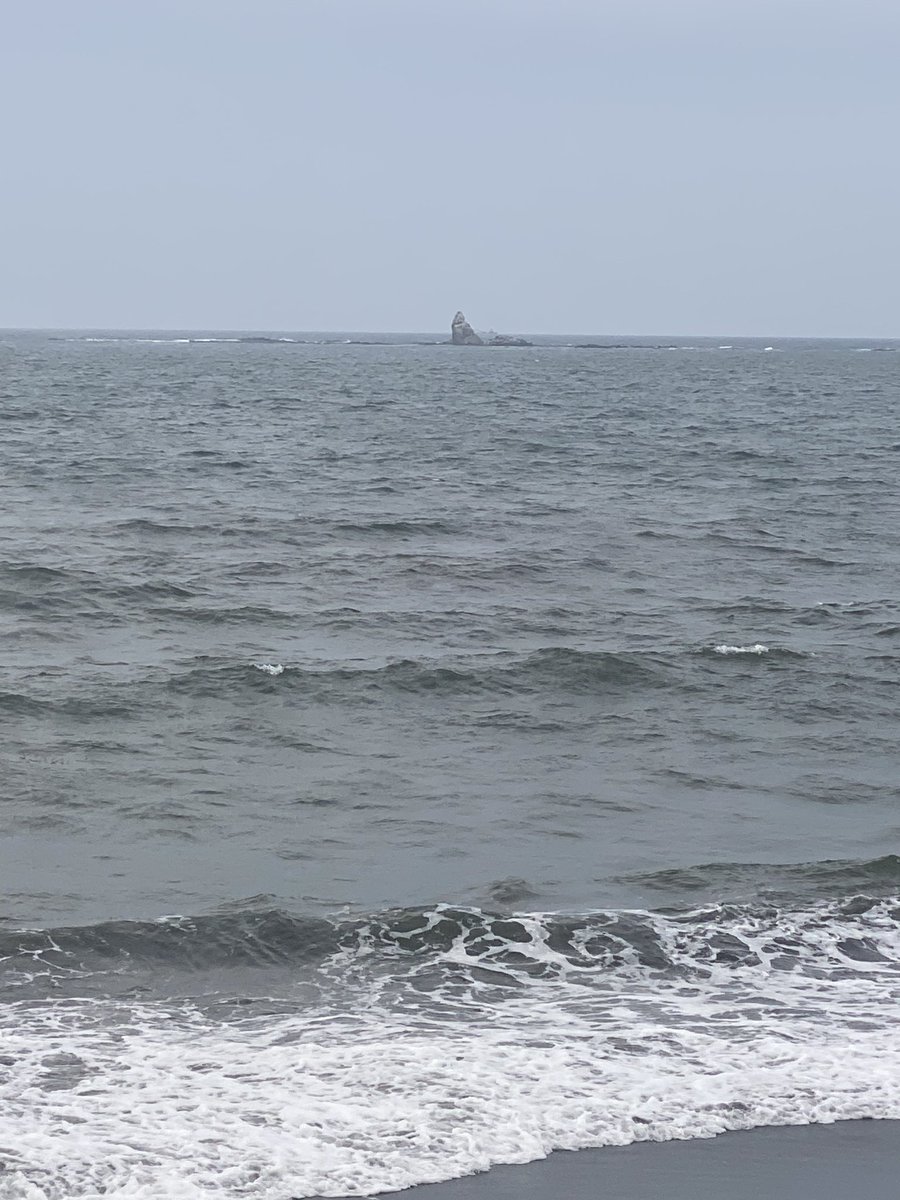 とことこ湘南 tweet media