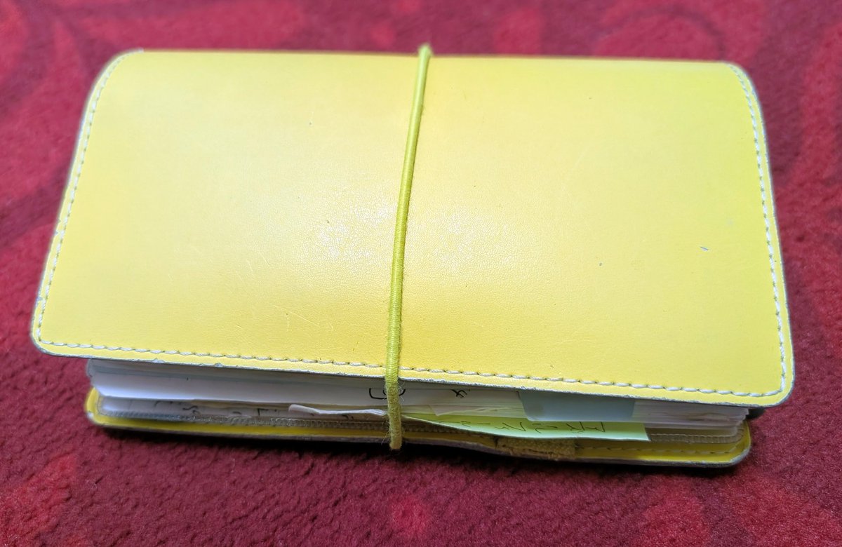 majomama 2’ｄ tweet media