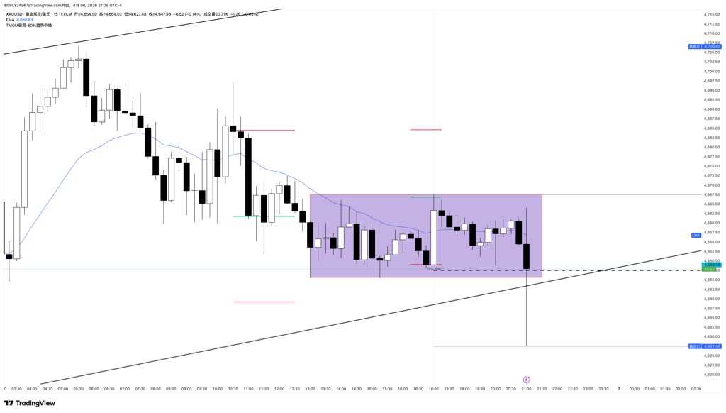 ZHANG PENG FEI tweet media