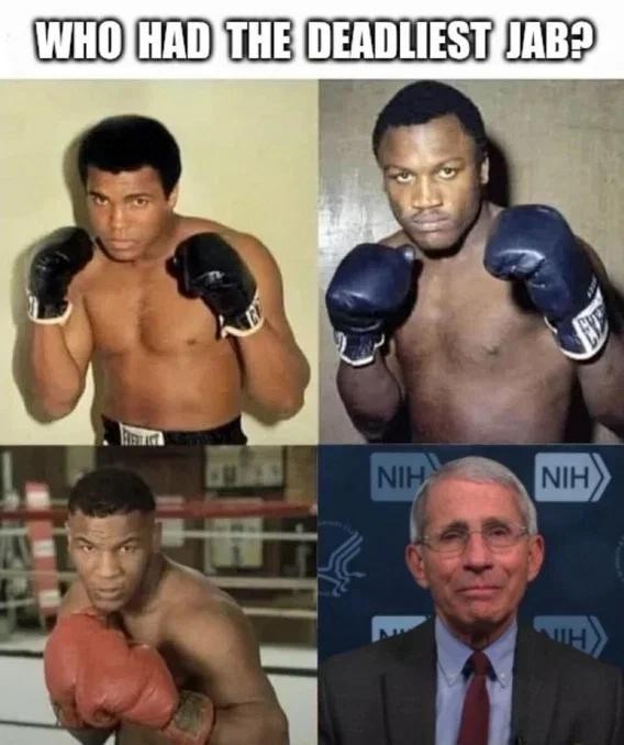 I.Pretend2.Understand tweet media