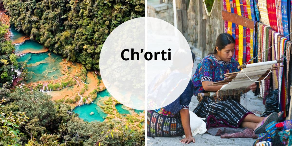 New theorem tweet media