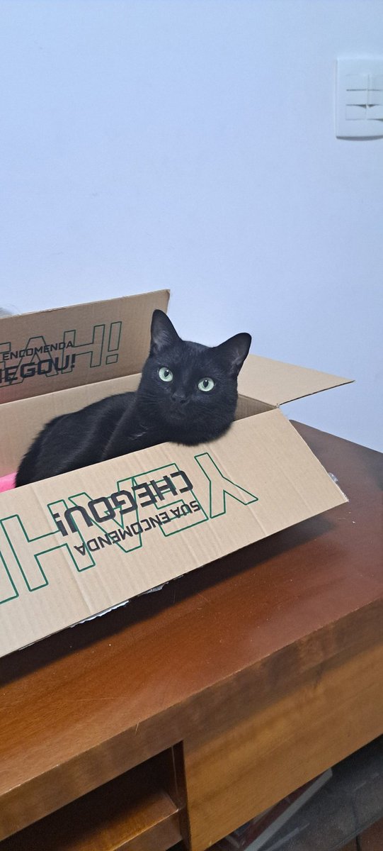 𝘮𝘢𝘳𝘪 tweet media