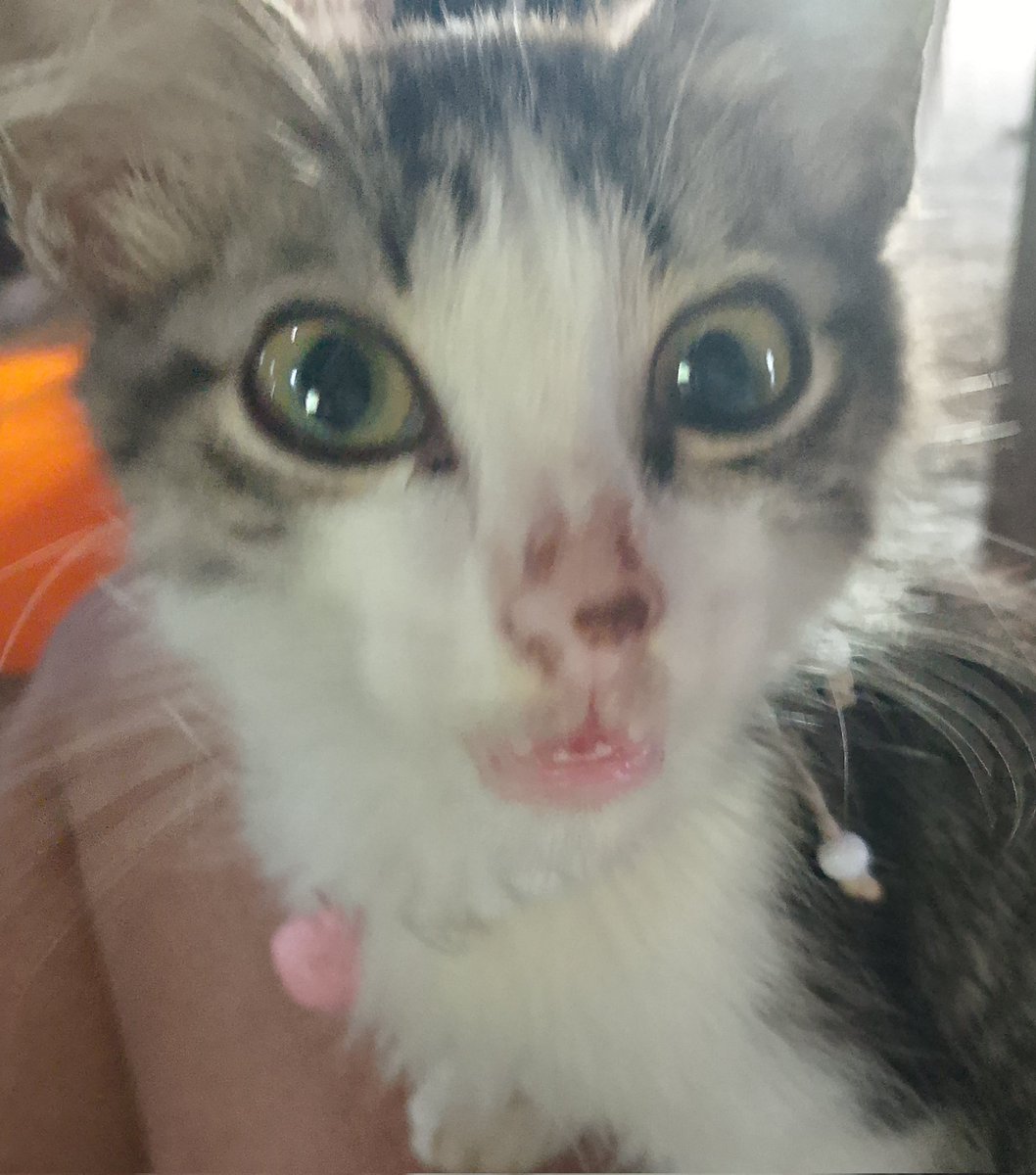 annee✨ tweet media