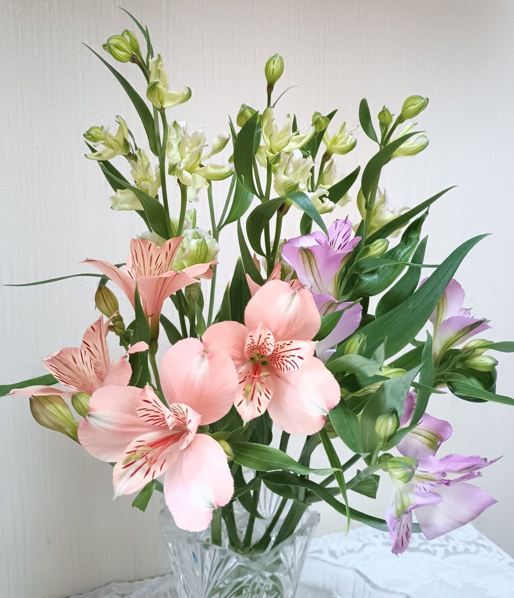 るびぃ💙 tweet media