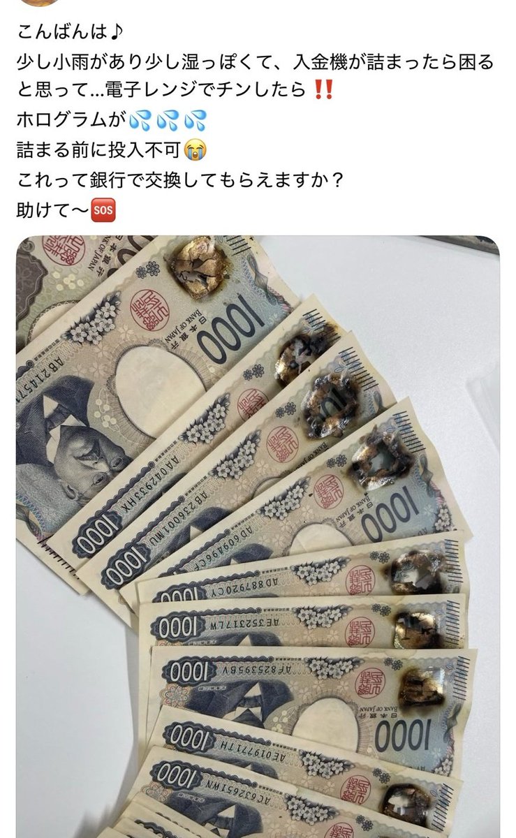 めぐﾁｬﾝ😃season2‼️‼️ tweet media