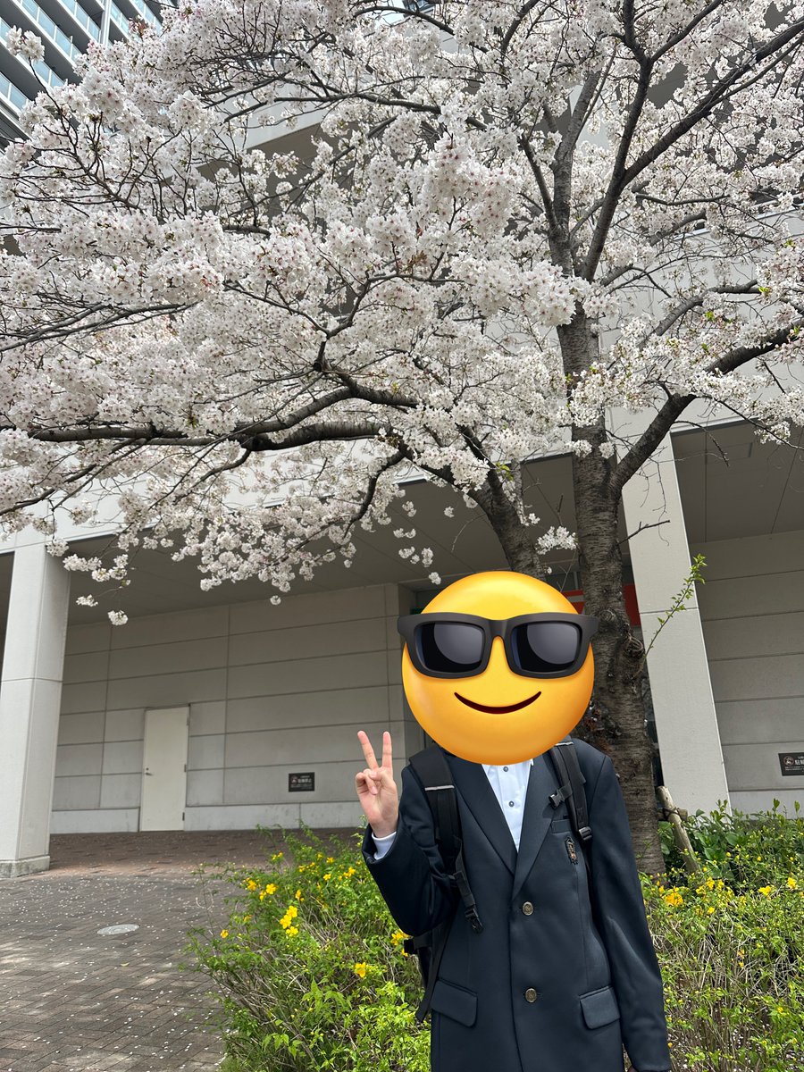 サムライ🍔🍟🥤 tweet media