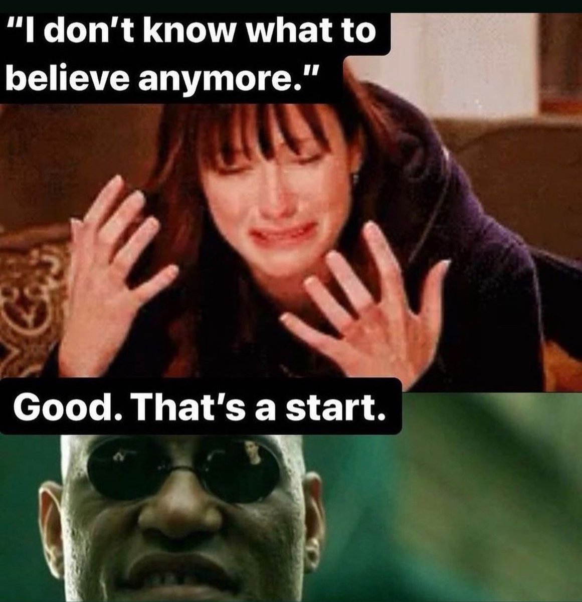 rabbitholebot tweet media