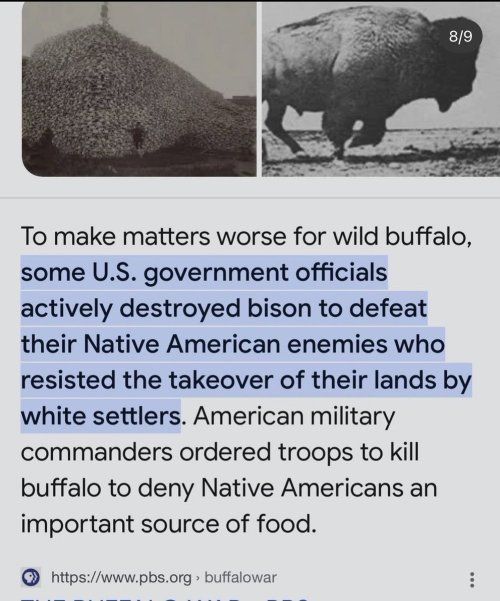 Crzyhorse tweet media