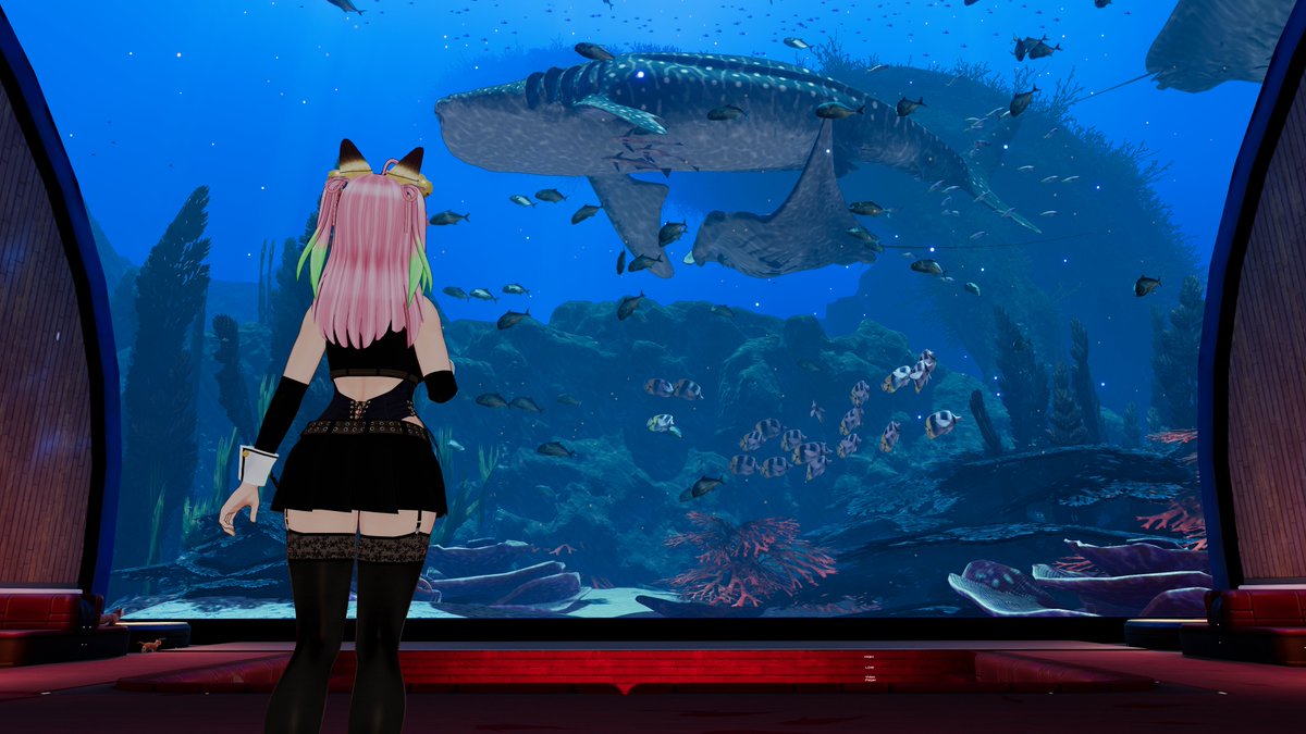 エルシオン tweet media