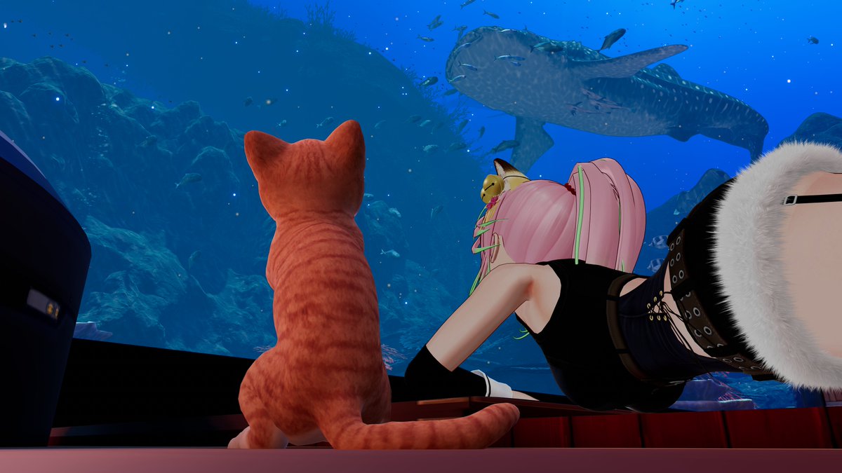 エルシオン tweet media