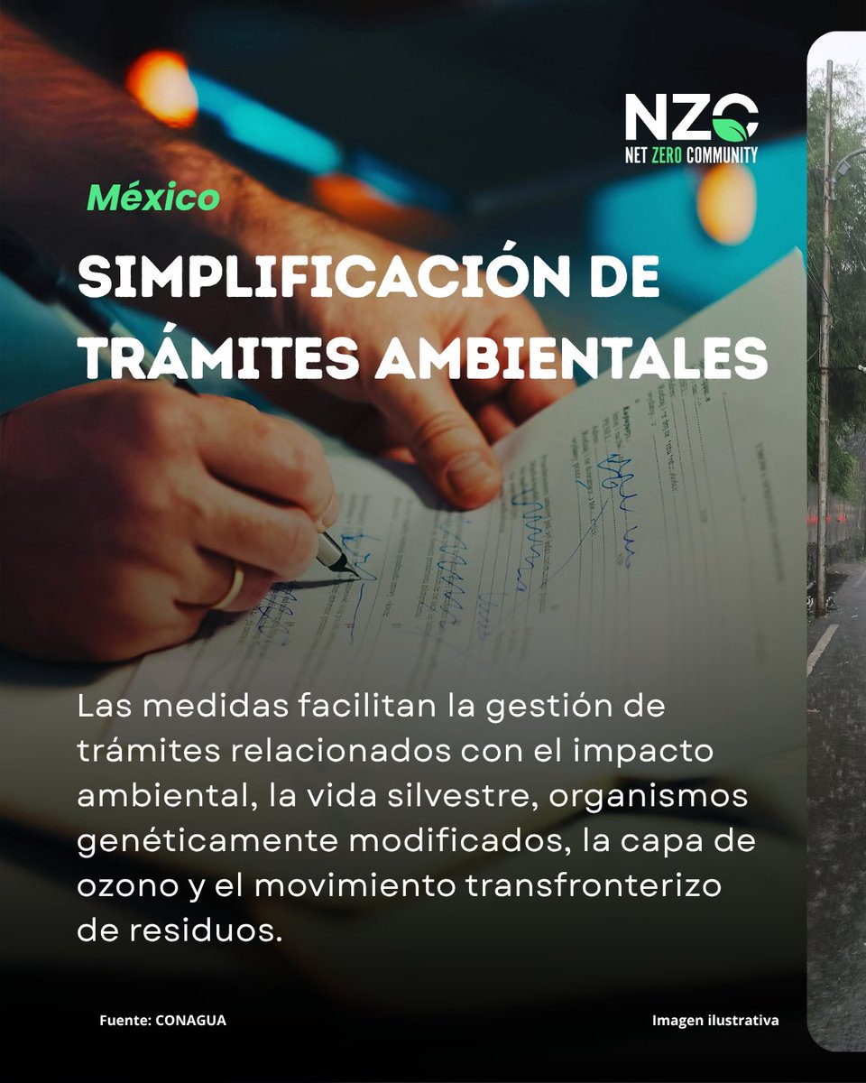 Net.Zero tweet media