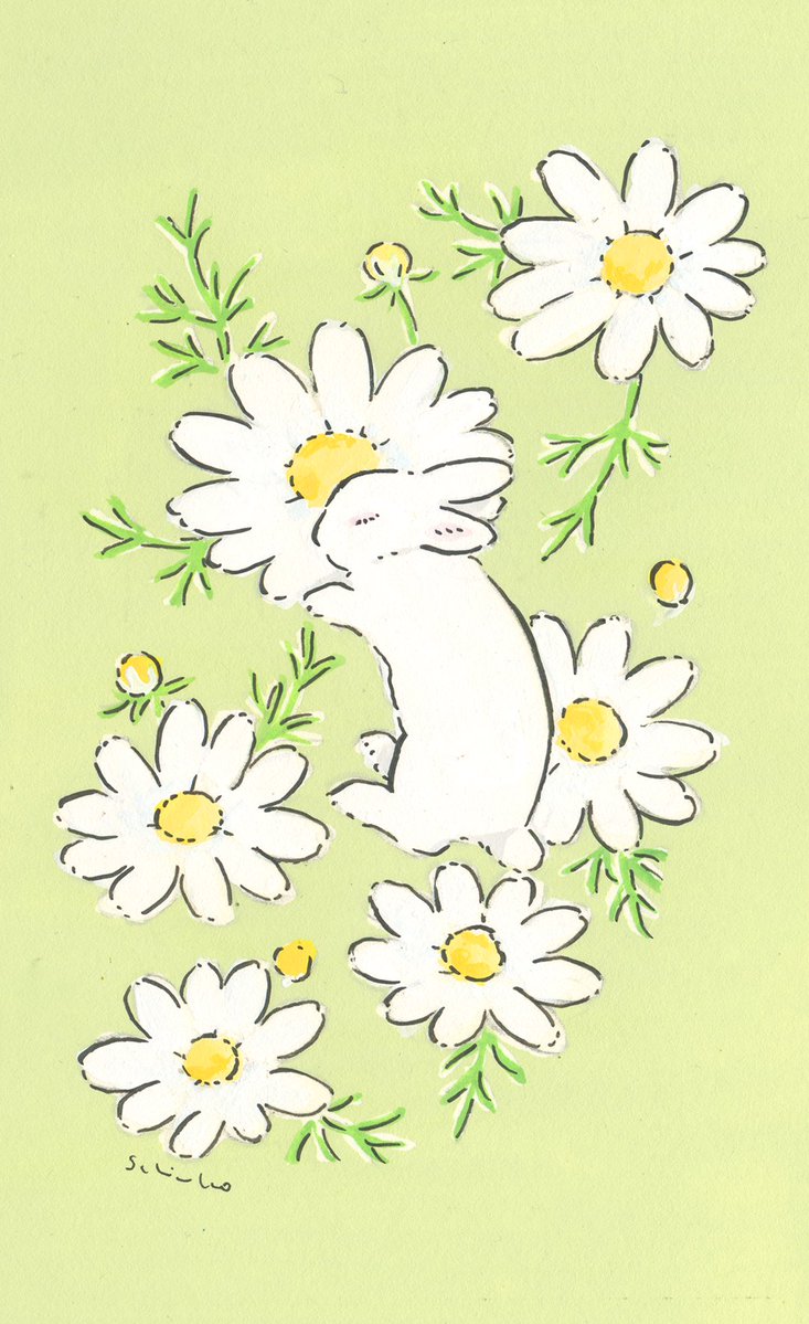 森山しなこ/Schinako🐇イラストとマンガ tweet media