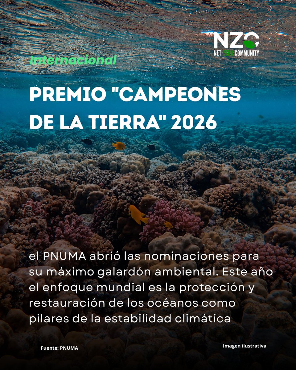 Net.Zero tweet media
