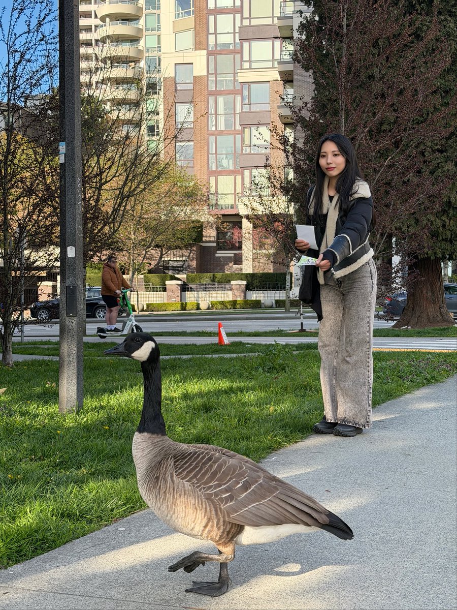 Sayuri Namba 難波小百合 tweet media