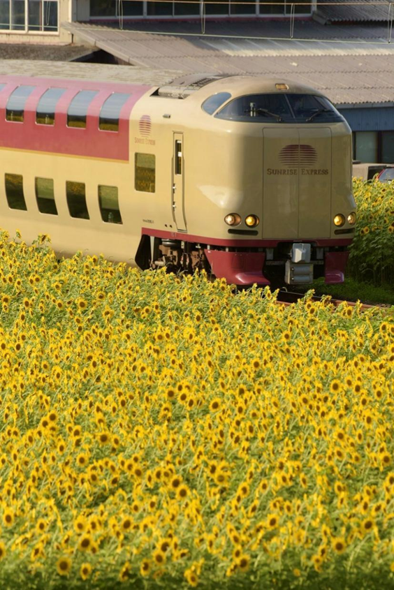 “鉄道専用”SNS 「Railil（レイリル）」公式 tweet media
