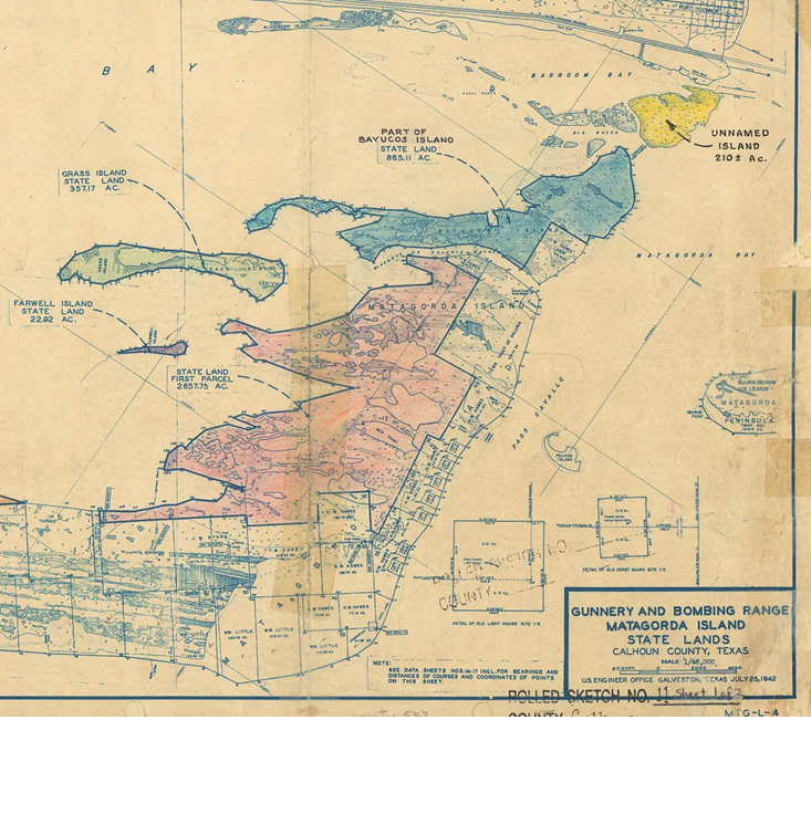 Save Texas History tweet media