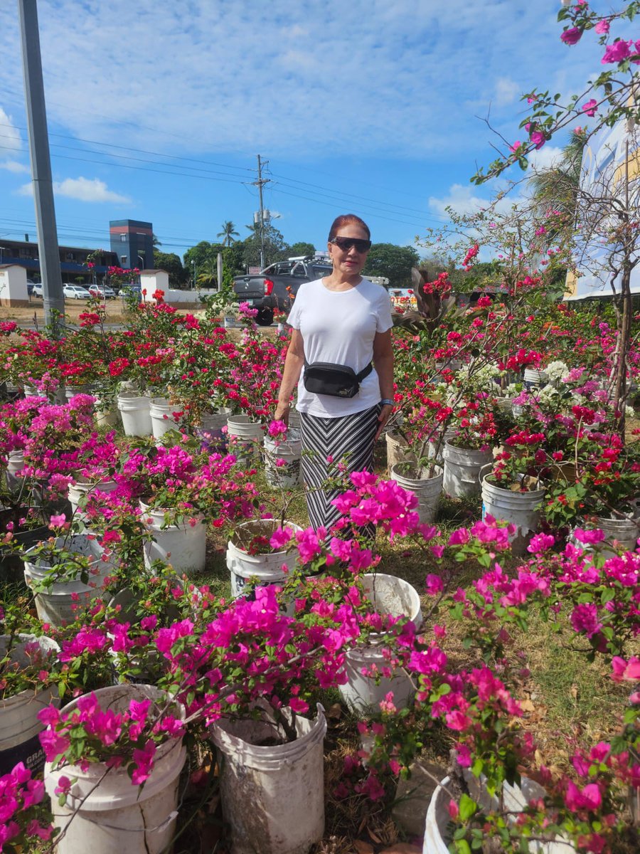 Isabel Damian tweet media