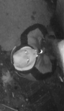 LSPD43's tweet photo. This person was involved in at least two commercial burglary’s in the area of Sterner Mill Road last night, leaving in the van, south on Trevose Road into Philadelphia.  We know the pictures are fuzzy, but we are asking Trevose Road residents to check their cameras for the van. https://t.co/3AUgASY4KB