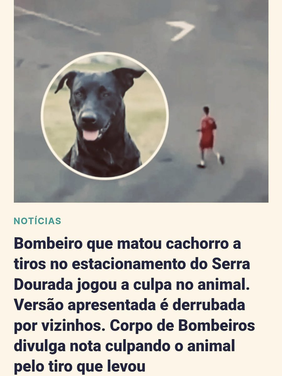 MarcoValverde72's tweet image. Indignação e revolta! 🤬
Mataram um inocente e ainda querem culpar o animal? Crueldade pura!
Chega de impunidade. Queremos justiça! 

BOMBEIRO FILHO DA PUTA 🖕

#Justiça #ChegaDeCrueldade
#QueremosJustiça