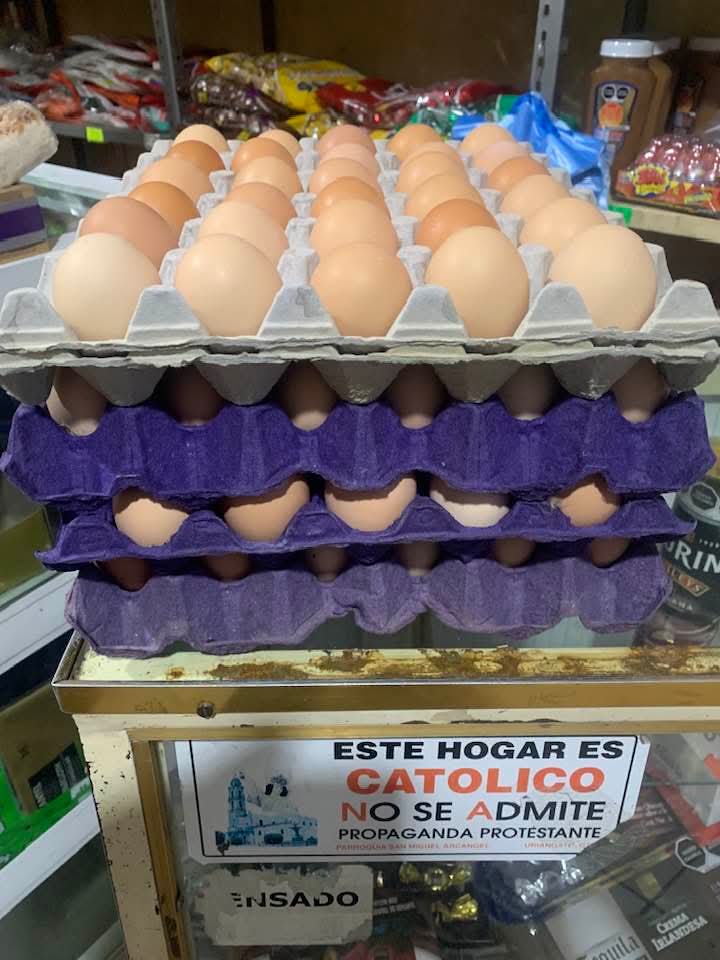 Alex🇺🇦 tweet media