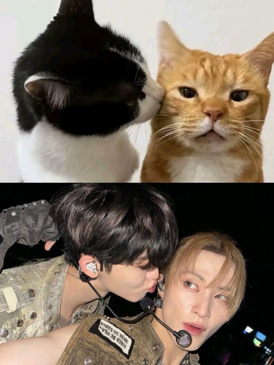 gi 𝜗𝜚 loves marta♡ 𐔌՞. .՞𐦯 tweet media