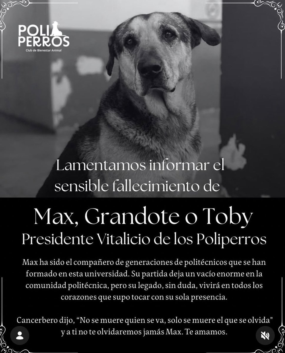 EcuadorLIVE tweet media