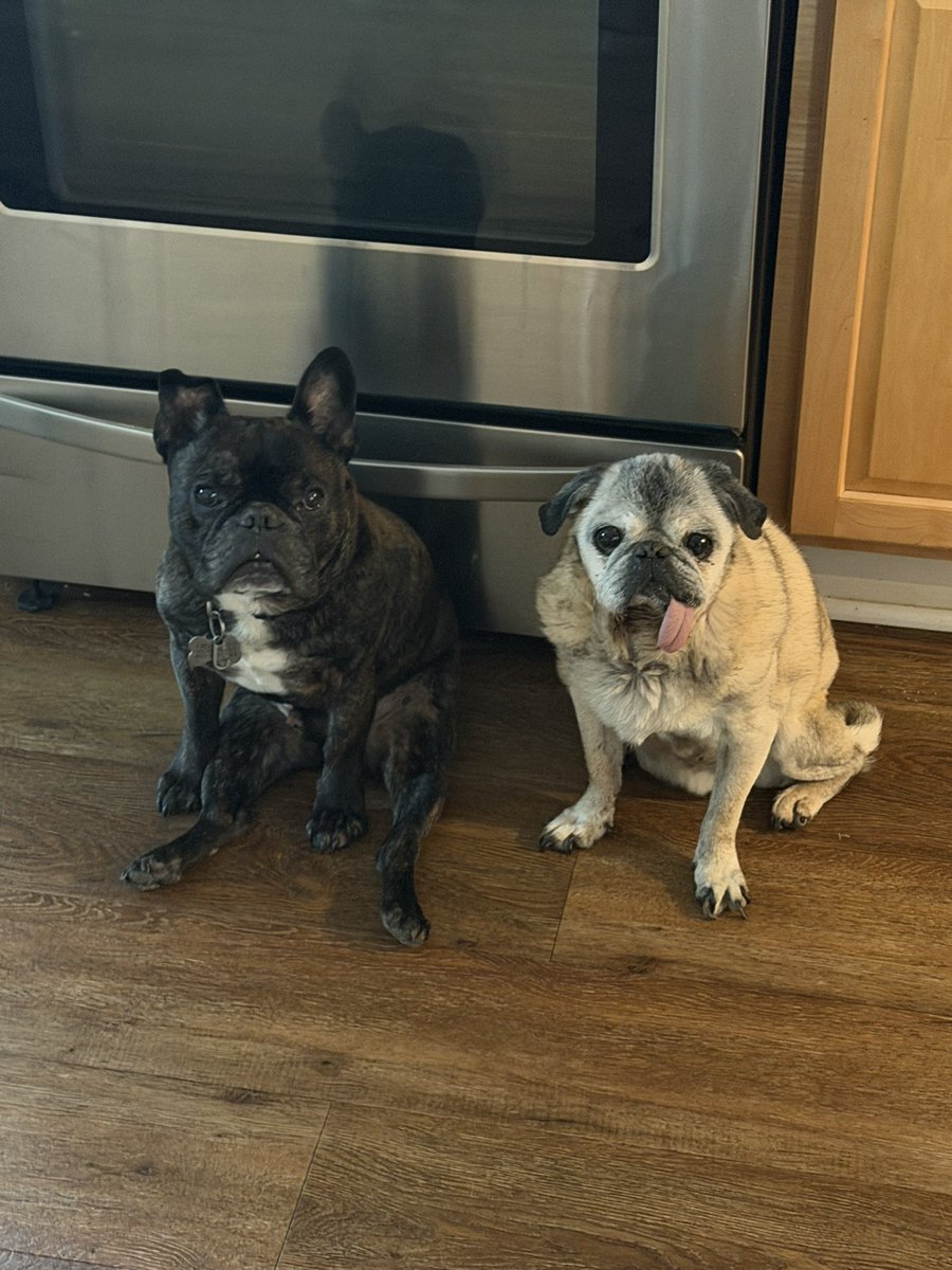 Cary Kelly tweet media