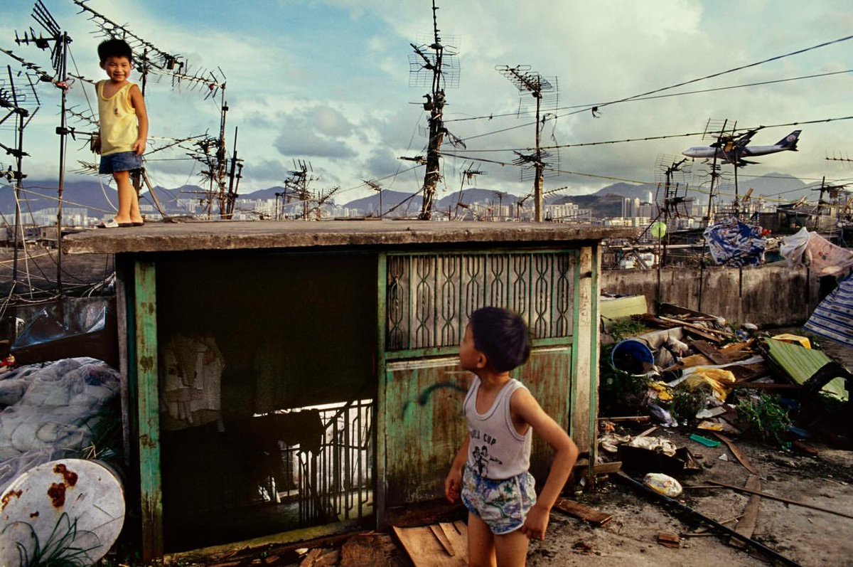 Greg Girard tweet media