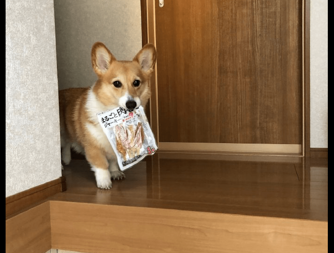 reeveslee tweet media