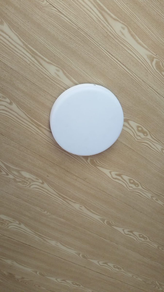 Franny monette🏳️‍⚧️ tweet media