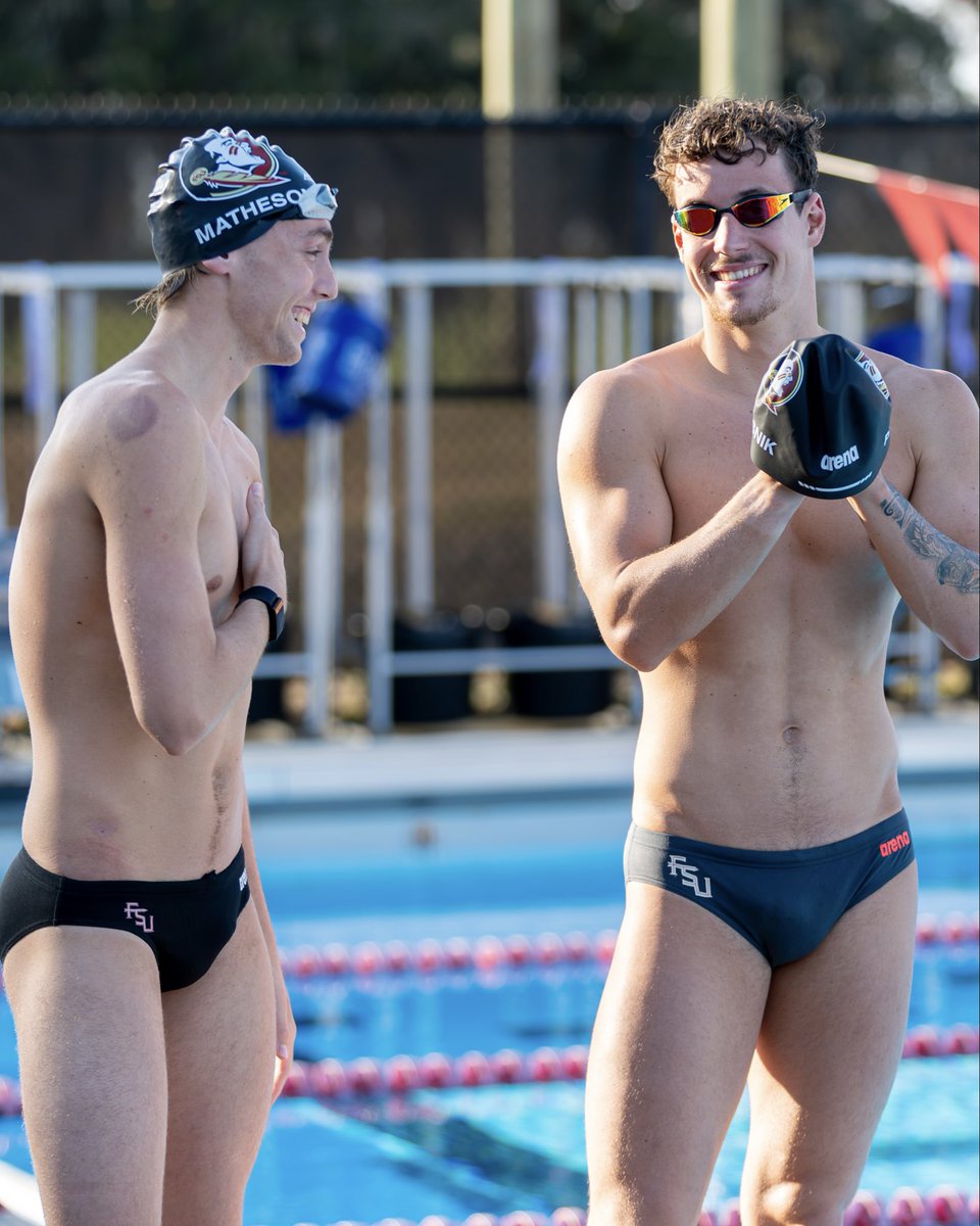 FSU Swimming/Diving tweet media