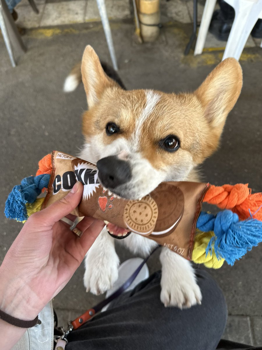 аутопсина тревожная | עם ישראל חי tweet media