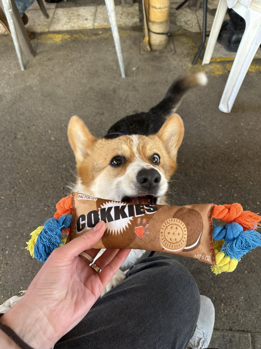 аутопсина тревожная | עם ישראל חי tweet media