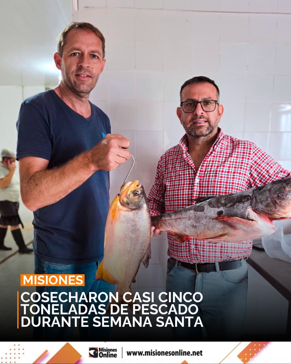 misionesonline's tweet image. Misiones cosechó casi 5 toneladas de pescado 🐟 durante Semana Santa. El Ministerio del Agro resalta el crecimiento de la acuicultura provincial y su apoyo a la comercialización local.
misionesonline.net/2026/04/06/acu…
#Misiones #Acuicultura #Pescado #Produccion
