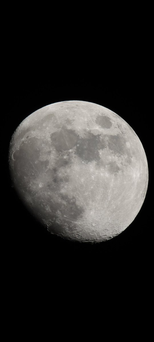 Keith Hammond tweet media