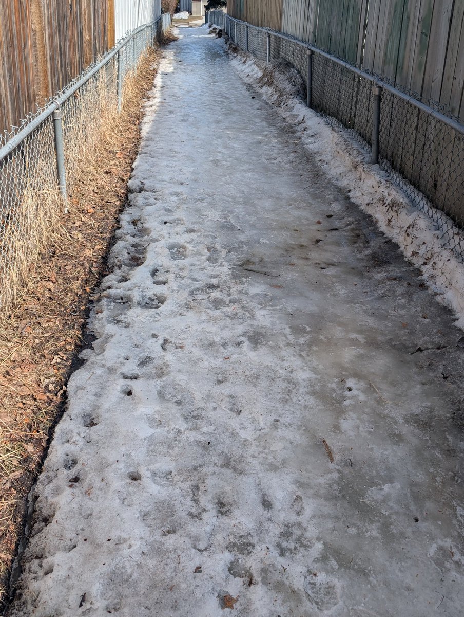 🦷 larry johnson of eviltwt tweet media