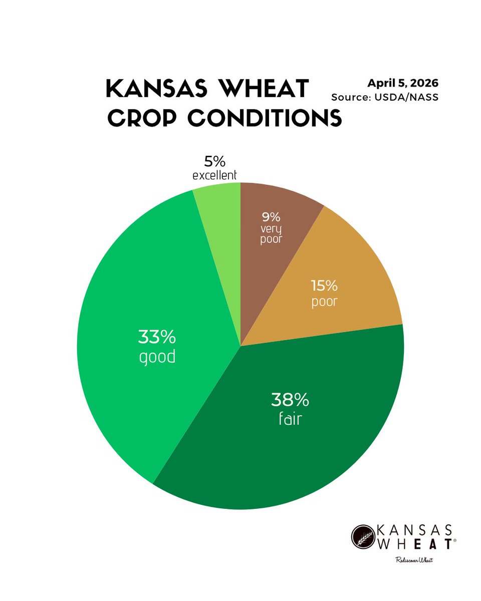 KansasWheat tweet media