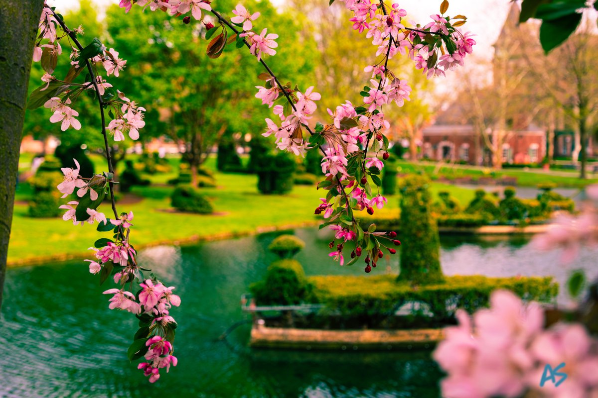 Andy Spessard tweet media