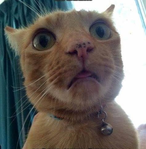 Adebukola Ajetunmobi tweet media