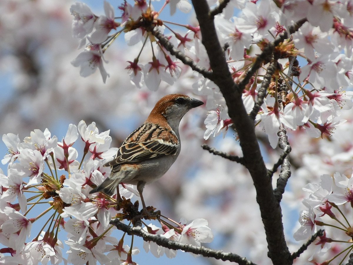 てつろう tweet media