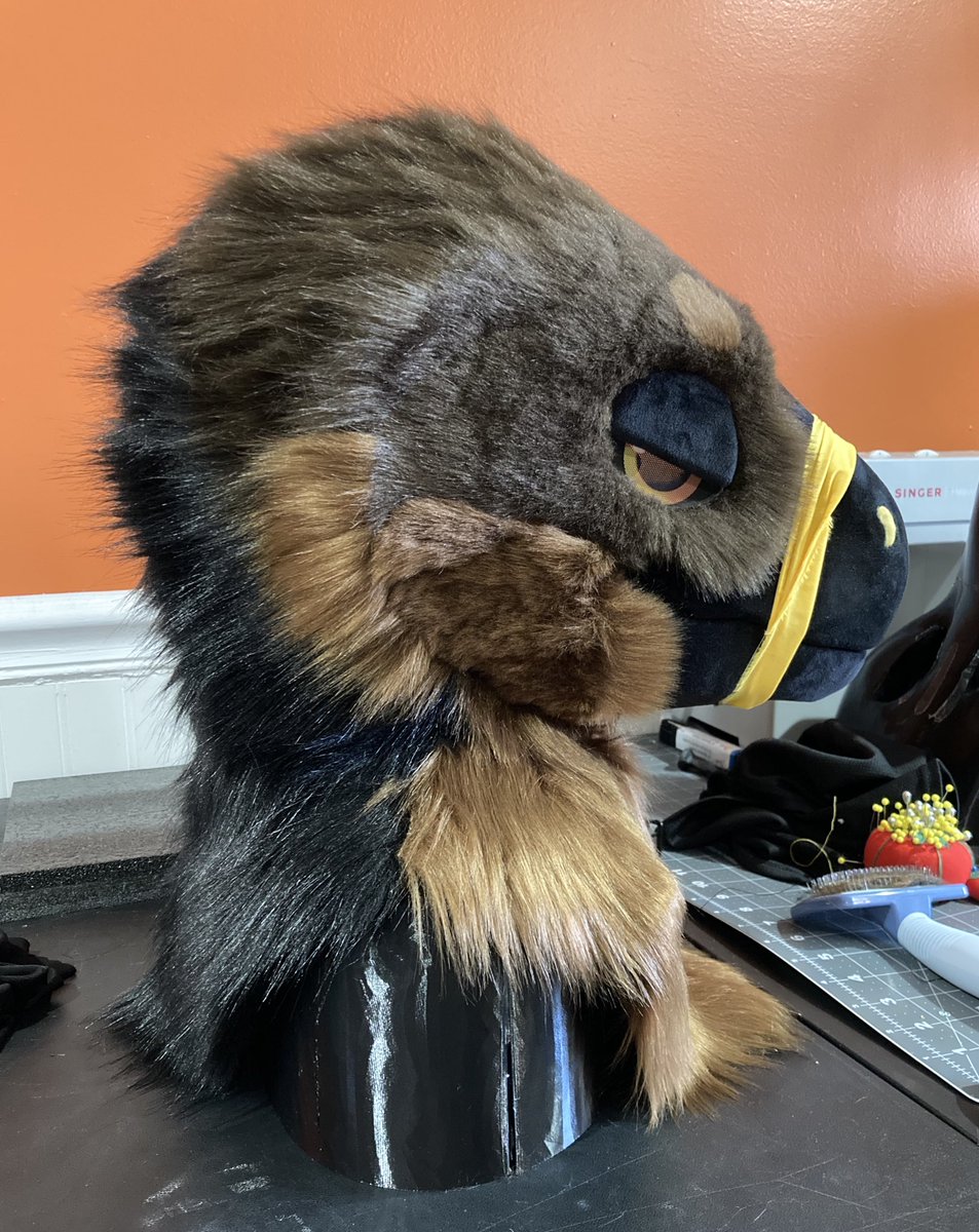 KOCHARAPTOR ➜ BLUESKY tweet media